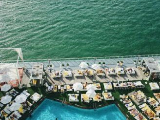 Destination Guide to Miami