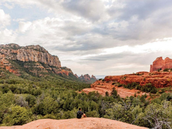 Sedona Is a Surprising Desert Destination