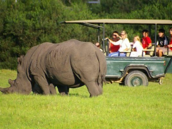 Top 18 Port Elizabeth (Gqeberha) Activities