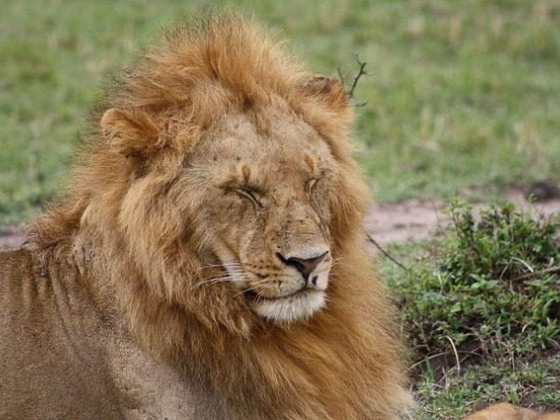 4 Reasons to Visit Masai Mara in Kenya