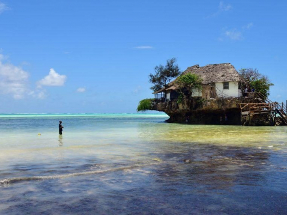 The Top Things to See and Do in Zanzibar