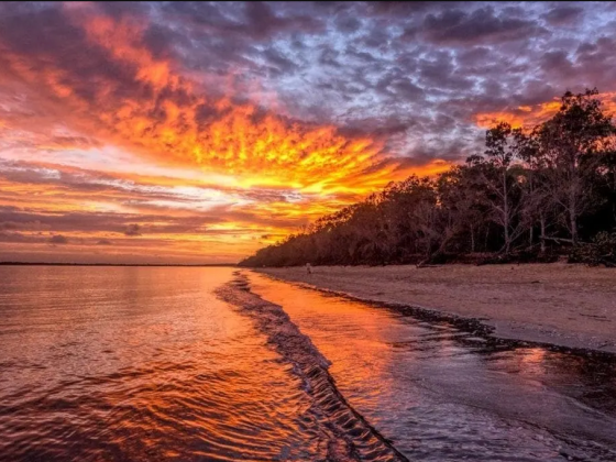 20 fabulous things to do in Hervey Bay