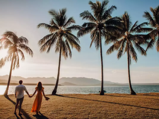 The only Port Douglas holiday planning guide you'll ever need