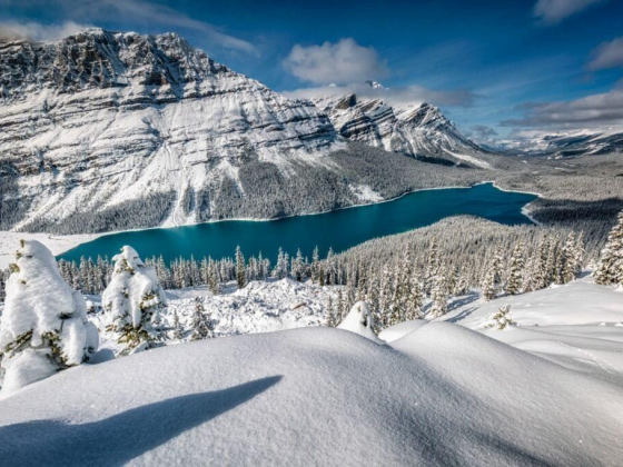 10 Things to Know Before Visiting Peyto Lake