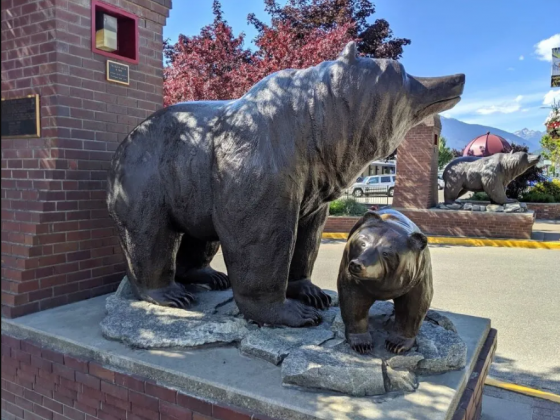 18 Must Do Revelstoke Attractions and Activities