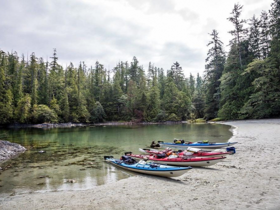 13 EPIC Things To Do In Tofino BC