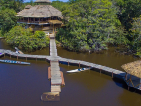Incredible Hotels in the Jungles of South America
