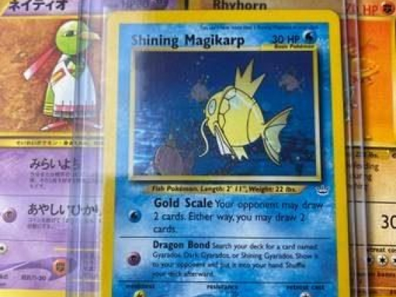 170 Pokemon Card Collection with Shining Gyarados and Magikarp!