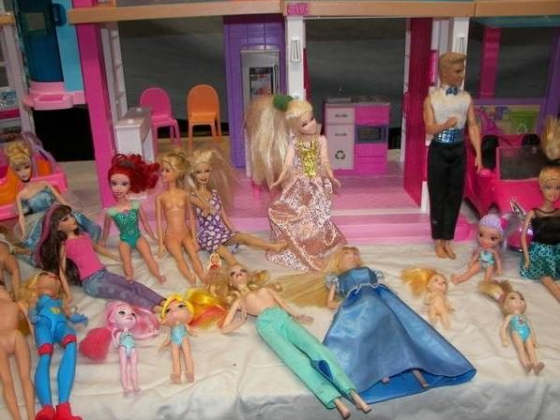 BARBIE DOLLS & LOL DOLLS / Accessories