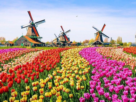 The 6 best day trips from Amsterdam