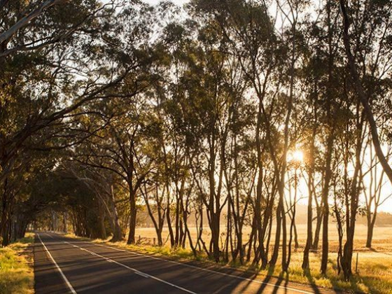 On the road from Bendigo to the Yarra Valley