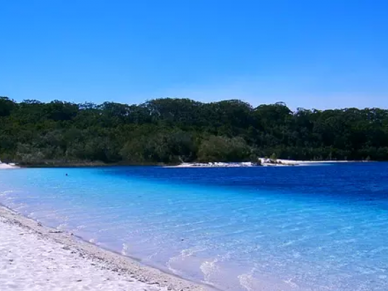 15 Best Things To Do In Hervey Bay, Australia - Updated 2021