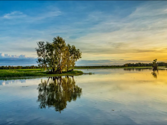 Kakadu National Park: The Complete Guide