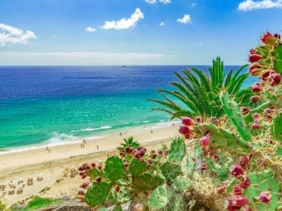 The colours of Fuerteventura