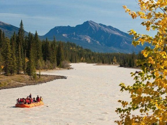 The Best Things to Do in Jasper, Canada