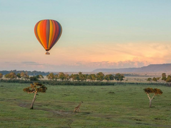 THE COMPLETE GUIDE TO A MASAI MARA SAFARI