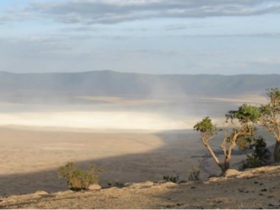 When is the Best Time to Visit the Ngorongoro Crater?