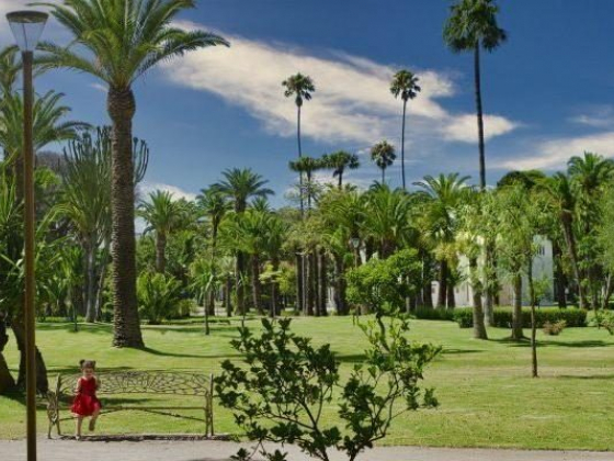 An Inside Look at the New Villa Harris Museum of Tangier