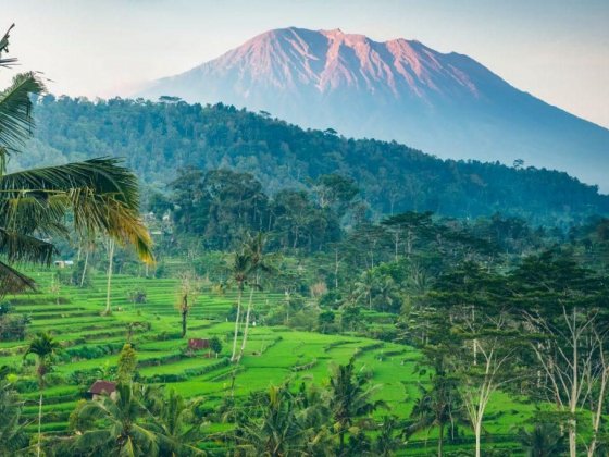 Reasons Why You Should Visit Bali