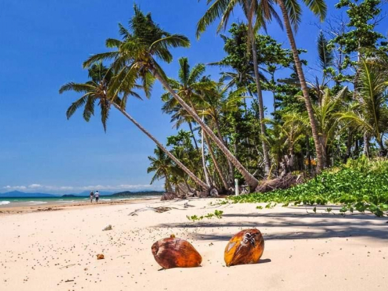 A road trip along Australia's Sunshine Coast