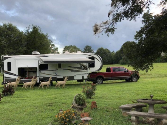 2014 Forest River Wildcat