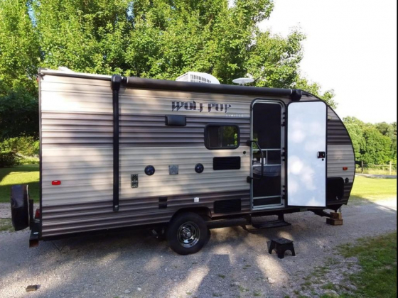 2017 Forest River Wolf Pup