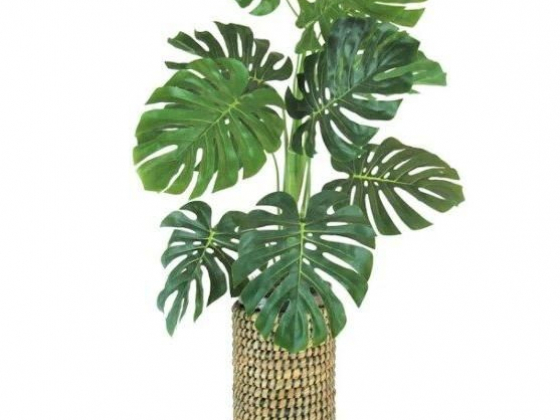 42in. Monstera Cylinder Basket