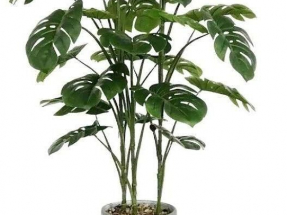 46in. Monstera Tribal Grey Pot