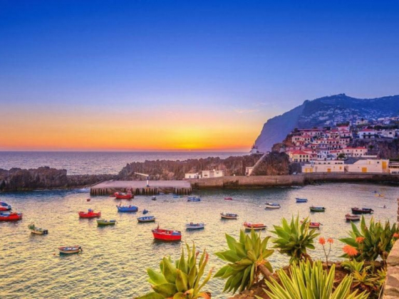 Madeira guide: best things to see including Funchal and where to find deals