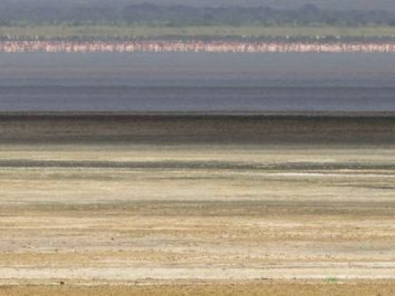 Safari in Tanzania : Lake Manyara National Park