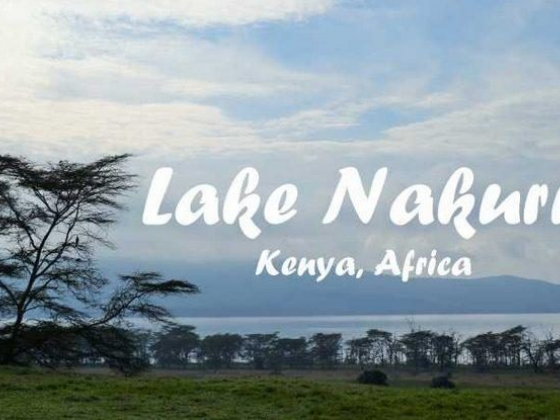 Lake Nakuru National Park