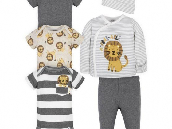 Gerber Gerber Baby Boy Take-Me-Home Set & Bodysuit Bundle, 6-Piece (Pre-3/6M)