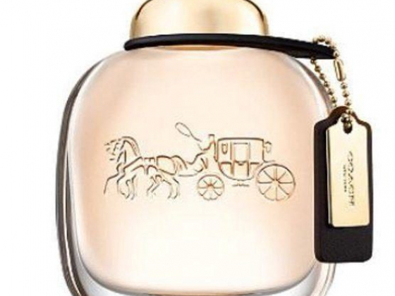 Coach New York Eau De Perfume for Women, 3 oz