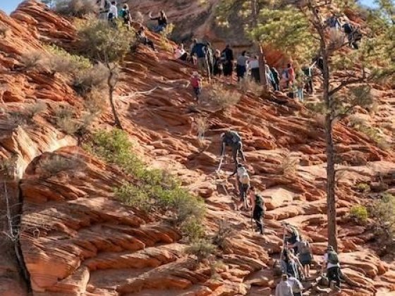 Travel in 2022: Is it time to plan those big trips abroad?