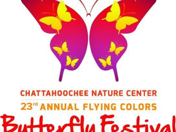 Butterfly Festival