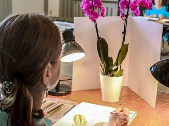 Atlanta Botanical Garden