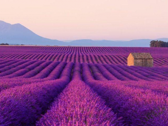 25 Stunning Photos of the Most Colorful Places on Earth