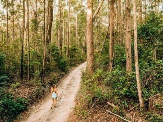 10 Reasons Why Fraser Island Should Be on Your Australian Bucket List