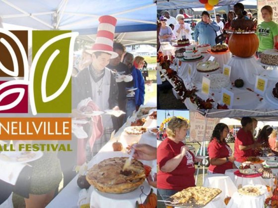 13th Annual Fall Festival