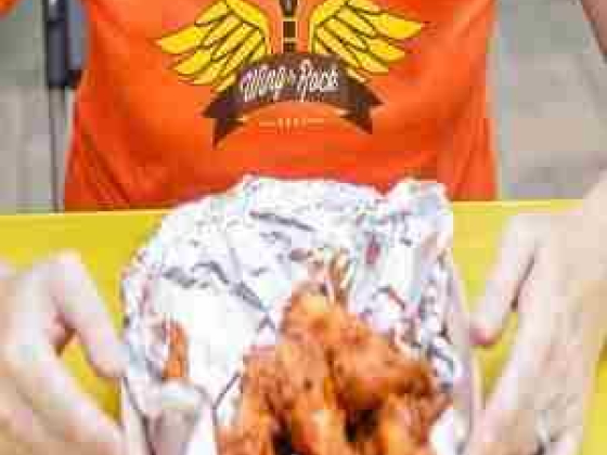 Wing and Rock Festival