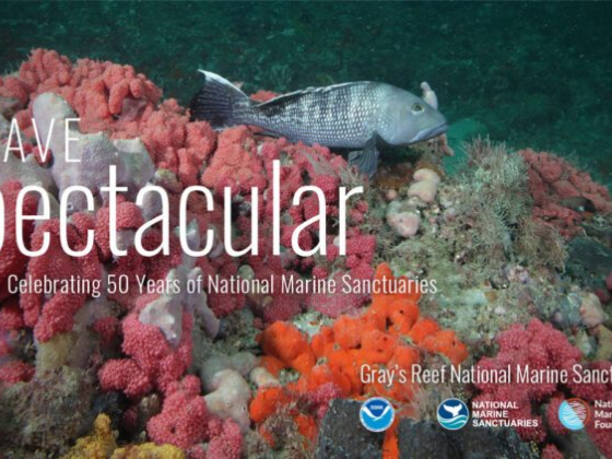 National Marine Sanctuaries Anniversary Event