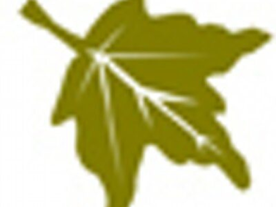 Night Hike and Scorpion Hunt