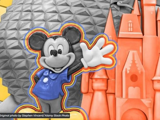 One man went to Disneyland 2,995 days in a row.