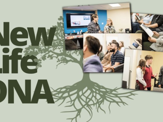 New Life DNA (Russian Language)