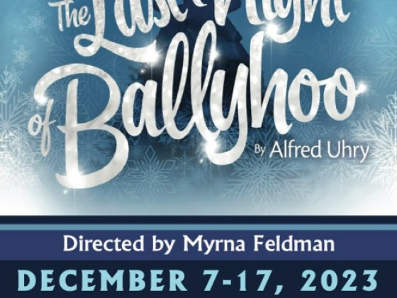 The Last Night of Ballyhoo