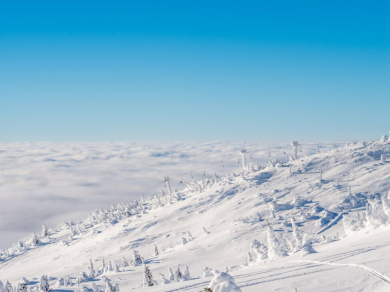 Why Big White is Canada’s Favourite Family Resort?