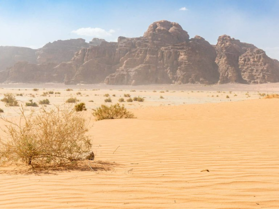 Wadi Rum Into The Ground