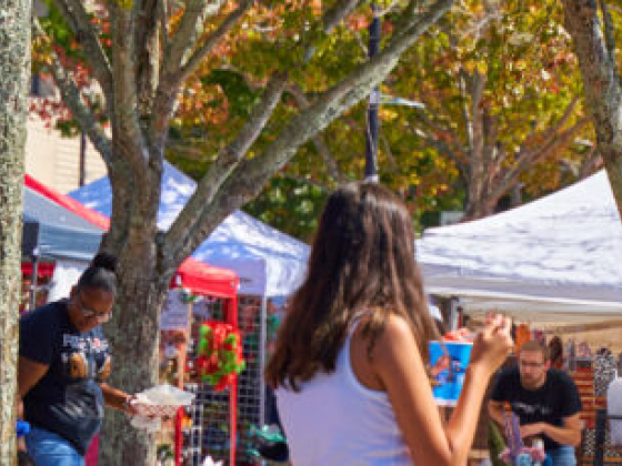 Olde Town Fall Festival