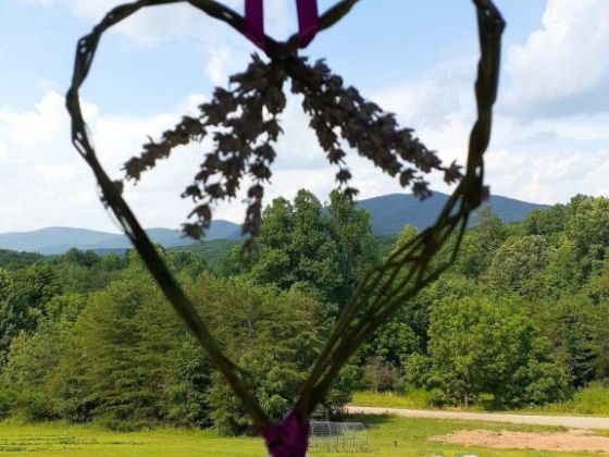 U-Pick & Make a Lavender Heart Wreath Class