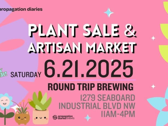 Plant Sale and Artist Market: Roundtrip Brewing